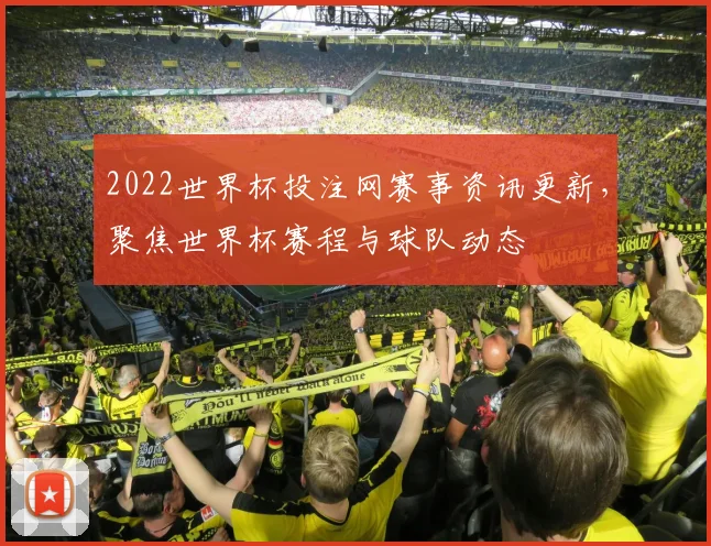 2022世界杯投注网赛事资讯更新,聚焦世界杯赛程与球队动态