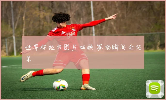 世界杯经典图片回顾 赛场瞬间全记录