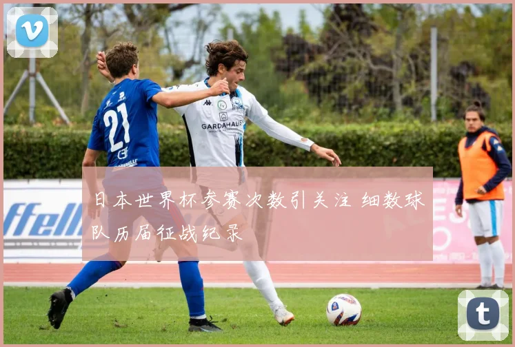 日本世界杯参赛次数引关注 细数球队历届征战纪录