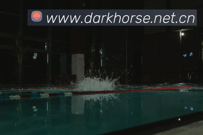 多媒体互动体验